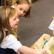 An Attitude of Gratitude